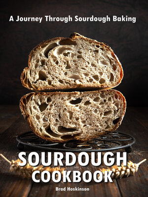 cover image of Sourdough Cookbook